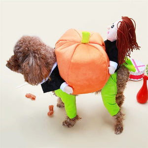 Dog Pumpkin Halloween Costume(🎁Early Halloween Promotion-30% OFF🎃)