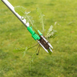 Standing Plant Root Remover